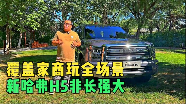 覆盖家商玩全场景 新哈弗H5非长强大