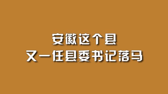 安徽这个县,又一任县委书记落马.