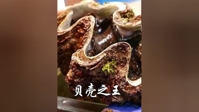 日本人为何将珍贵的砗磲视为香餐?在我国可是一级保护的海洋生物