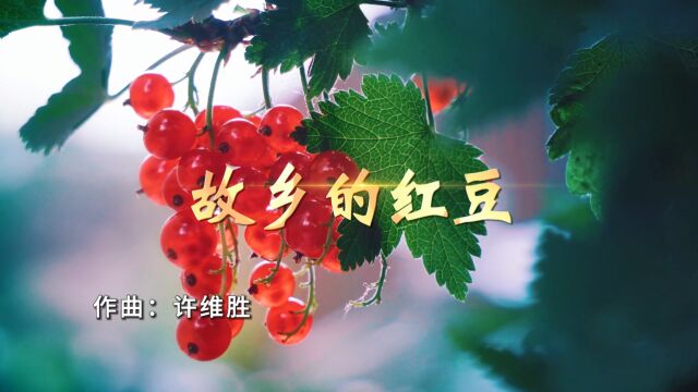 《故乡的红豆》(苏少道词 许维胜曲 乔军演唱)