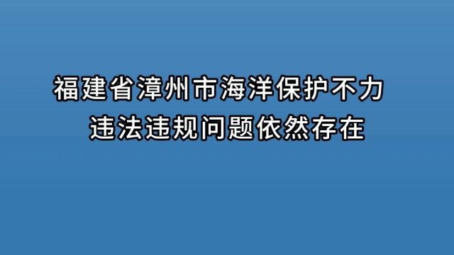 典型案例丨福建省漳州市海洋保护不力 违法违规问题依然存在