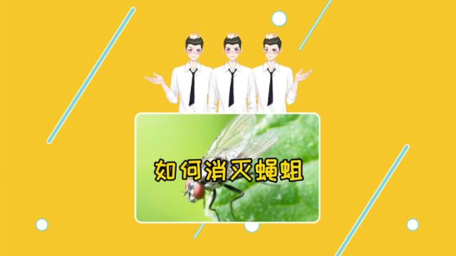 第119期|惊呆!这些小妙招竟然能消灭蝇蛆