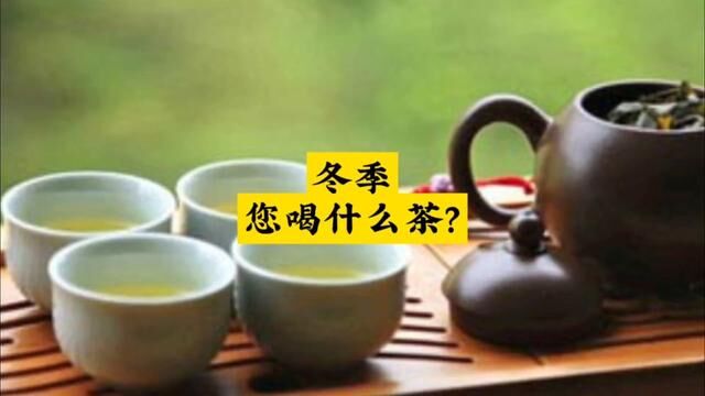 冬季您喝什么茶?#茶知识 #召唤茶友 #爱喝茶的关注我