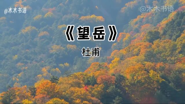 《望岳》杜甫,会当凌绝顶,一览众山小