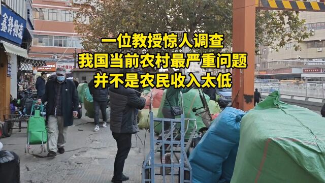 一位教授惊人调查:我国当前农村最严重问题,并不是农民收入太低