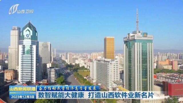 【奋力推动民营经济高质量发展】数智赋能大健康 打造山西软件业新名片