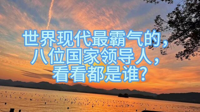 世界现代最霸气的,八位国家领导人,看看都是谁?