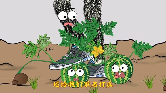 西瓜跟打瓜的区别?芋头跟滴水观音的区别?白菜横切跟竖切?放葱原创动画动画制作百科科普