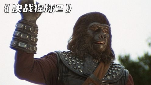 《决战猩球2》一只猩猩，带领族群反抗人类，并建立了自己的文明