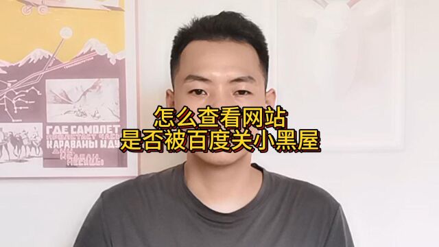 怎么查看网站是否被百度关小黑屋