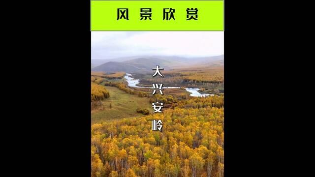 在追逐梦想的道路上,一定要记得驻足欣赏沿途的风景,否则会找不到回家的路.#治愈系风景 #原创作品 #保持热爱奔赴山海 #旅行