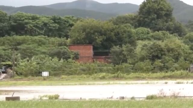 台风“海葵”今早在福建漳州东山县登陆,连续降雨致多处内涝,农田被淹