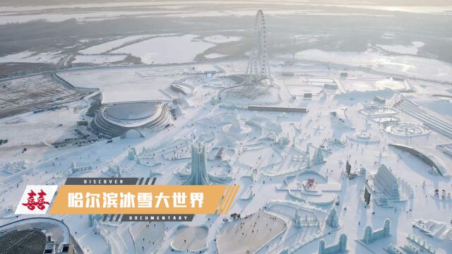 策划哈尔滨冰雪大世界的人一定是个天才,建造者们称得上大国工匠