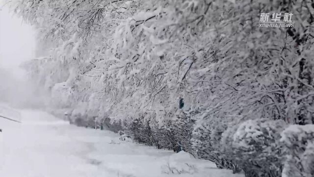 千城胜景|吉林东丰:大雪如约而至 丰城秒换“冬装”