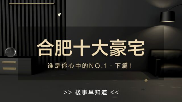 合肥公认的十大豪宅下篇!谁是你心中的NO.1