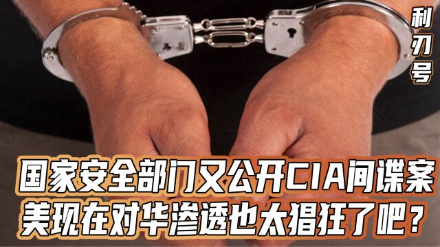 美国餐馆老板,被CIA变成“爱国成功人士”,企图腐蚀我外交人员