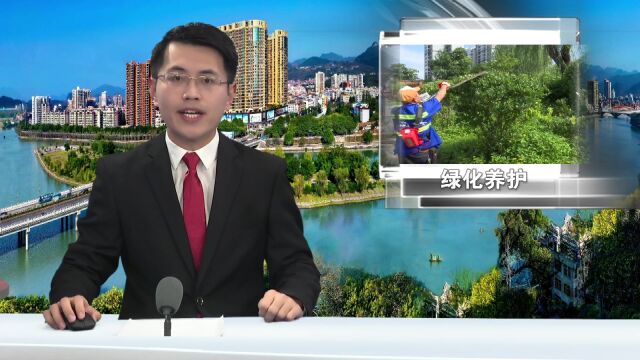 连州市加强管理城市绿化养护工作