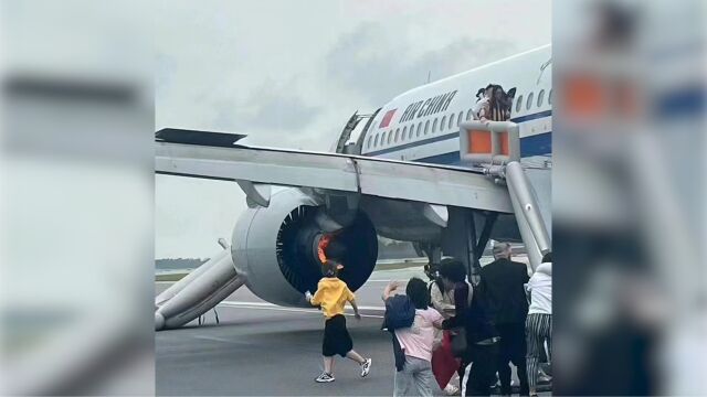 中国国际航空通报CA403事件:初判系发动机故障引发,正进一步调查