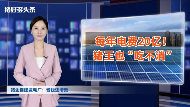 养猪自建发电厂!牧原、温氏、新希望大力推动,正邦引资400亿!