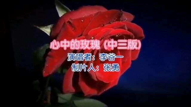 《心中的玫瑰》演唱 李谷一 视频制作 张勇