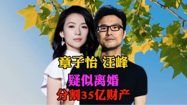 传闻曝光!汪峰章子怡或疑离婚?35亿财产归属问题待解!