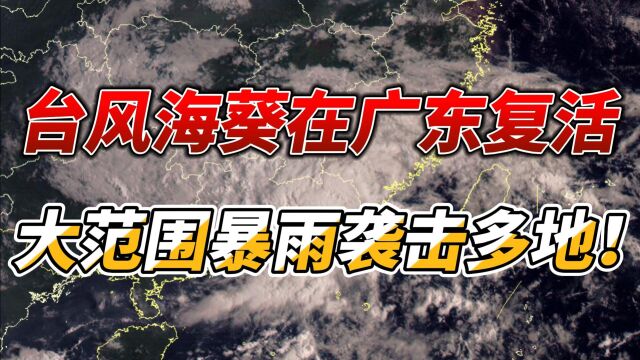 台风海葵在广东复活,大范围暴雨袭击多地!