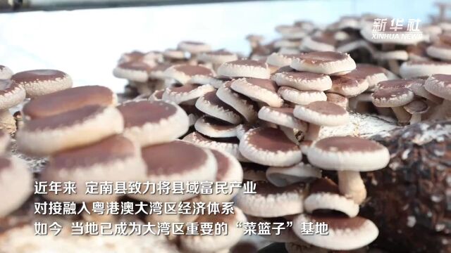 江西定南:电力智能化助力农产品“出山入湾”