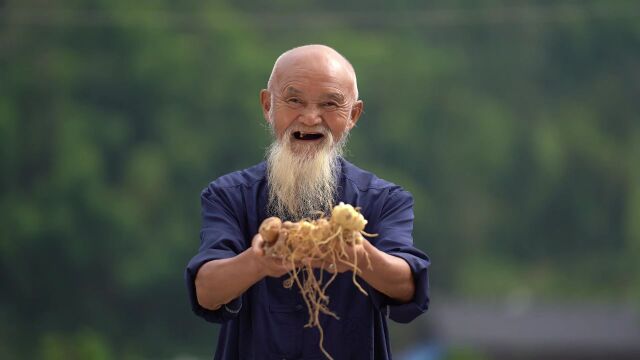 新化着力打造百亿黄精产业链|湖南日报