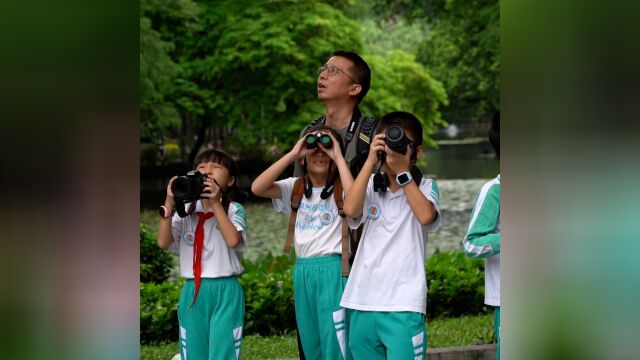 “闻音识鸟”大比拼!广州青少年观鸟赛决赛落地越秀公园