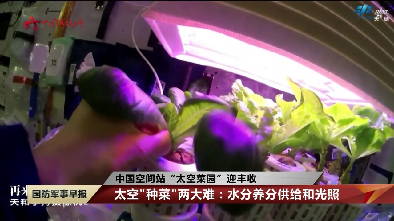【中国空间站“太空菜园”迎丰收】为什么要在太空种植蔬菜等植物_高清1080P在线观看平台_腾讯视频