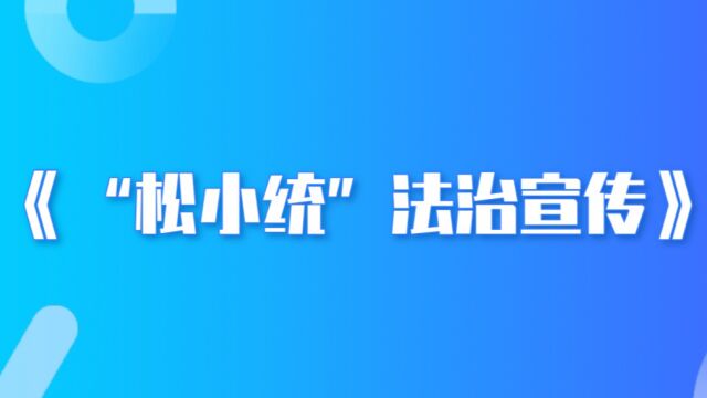 《“松小统”法治宣传》第二期:统计人员篇