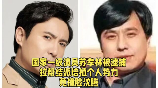 国家一级演员苏孝林被逮捕,拉帮结派培植个人势力,竟撞脸沈腾.