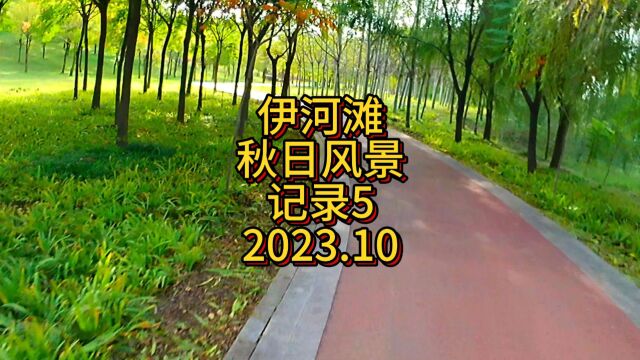 洛阳伊河滩中秋风景记录5时间2023.10