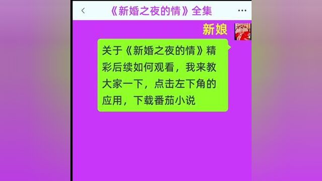 《新婚之夜的情》全集#番茄小说