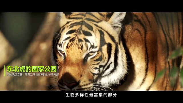 武夷青绿 山河映道