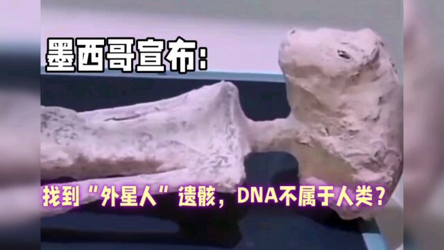 “外星人”存在?墨西哥记者哈梅ⷮŠ莫桑的惊人发现