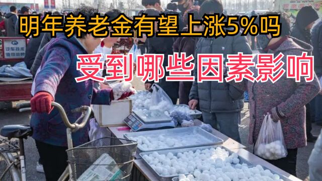 养老金增长幅度和什么有关?明年能否达到5%增速?