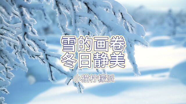 散文诗 《雪的画卷 冬日静美》