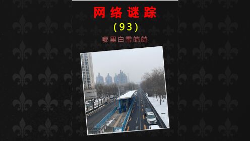 网络谜踪推理挑战，道路中央的公交站