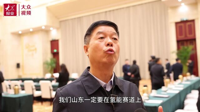 民营企业家座谈会丨张建宏:东岳要走出氢能绿色发展新路子