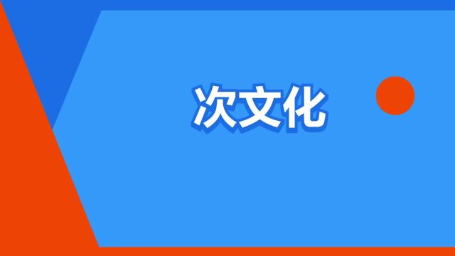 “次文化”是什么意思?