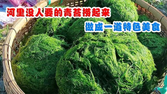 水里没人要的青苔,捞出来做成一道美食,你敢吃吗?