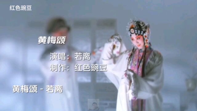 若离一曲《黄梅颂》完整版,超好听!