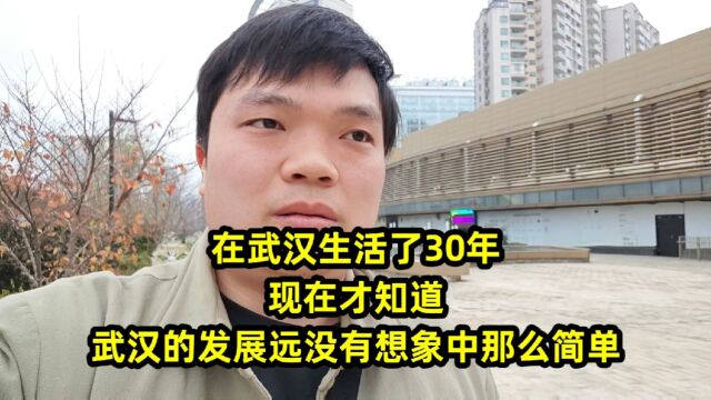 在武汉生活了30年,现在才知道,武汉的发展远没有想象中那么简单