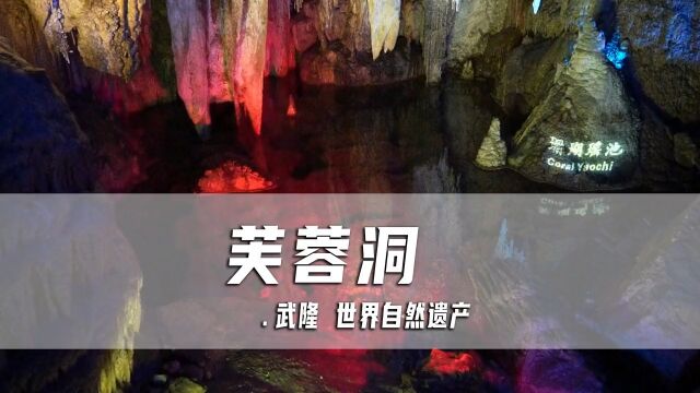 重庆旅游景点推荐,武隆喀斯特旅游区芙蓉洞,毫不起眼的地方居然是镇洞之宝