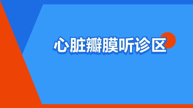 “心脏瓣膜听诊区”是什么意思?