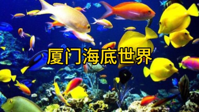 福建厦门海底世界