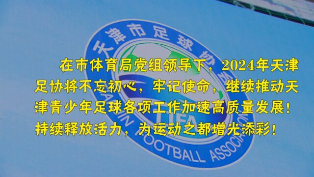 2023年度天津市足球运动协会青少年足球比赛训练工作总结#卡尔美就在你身边