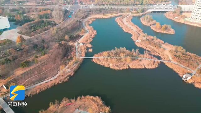 嘉祥:冬日湿地 处处皆景