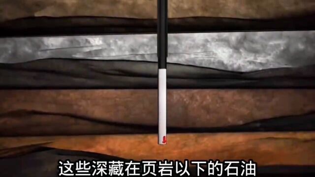 石油为何会越用越多?涨知识每天跟我涨知识小小科学家我要上